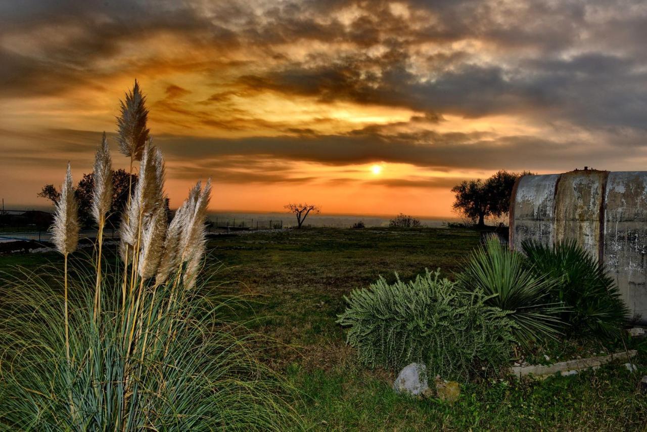 Agriturismo La Guarda Picedo 外观 照片