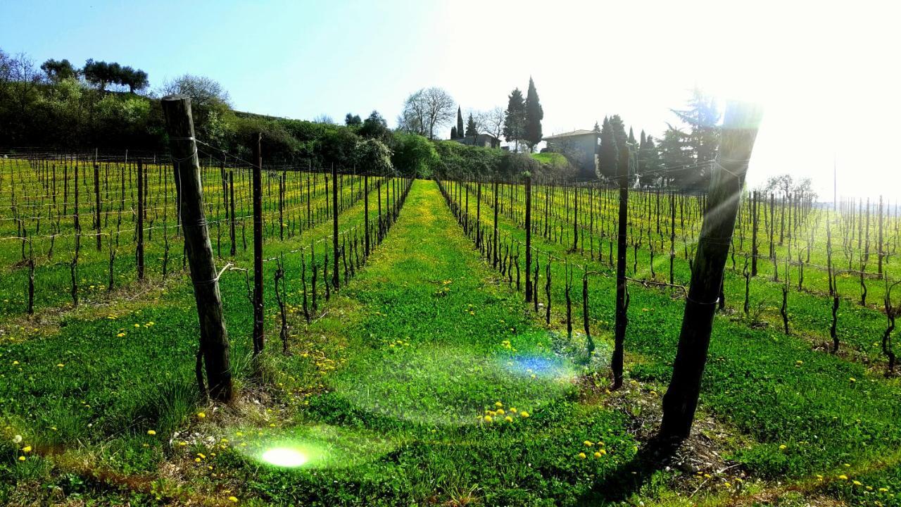 Agriturismo La Guarda Picedo 外观 照片