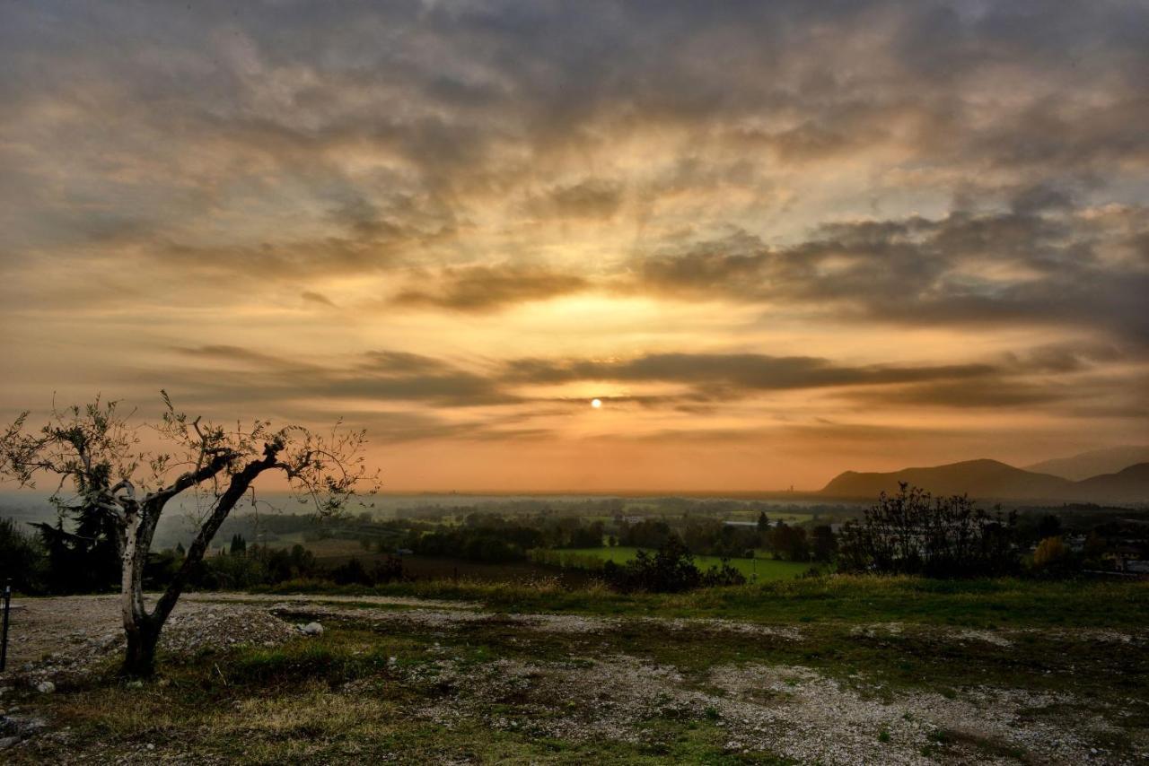 Agriturismo La Guarda Picedo 外观 照片