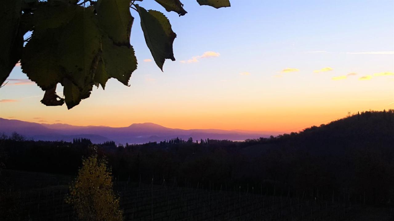 Agriturismo La Guarda Picedo 外观 照片