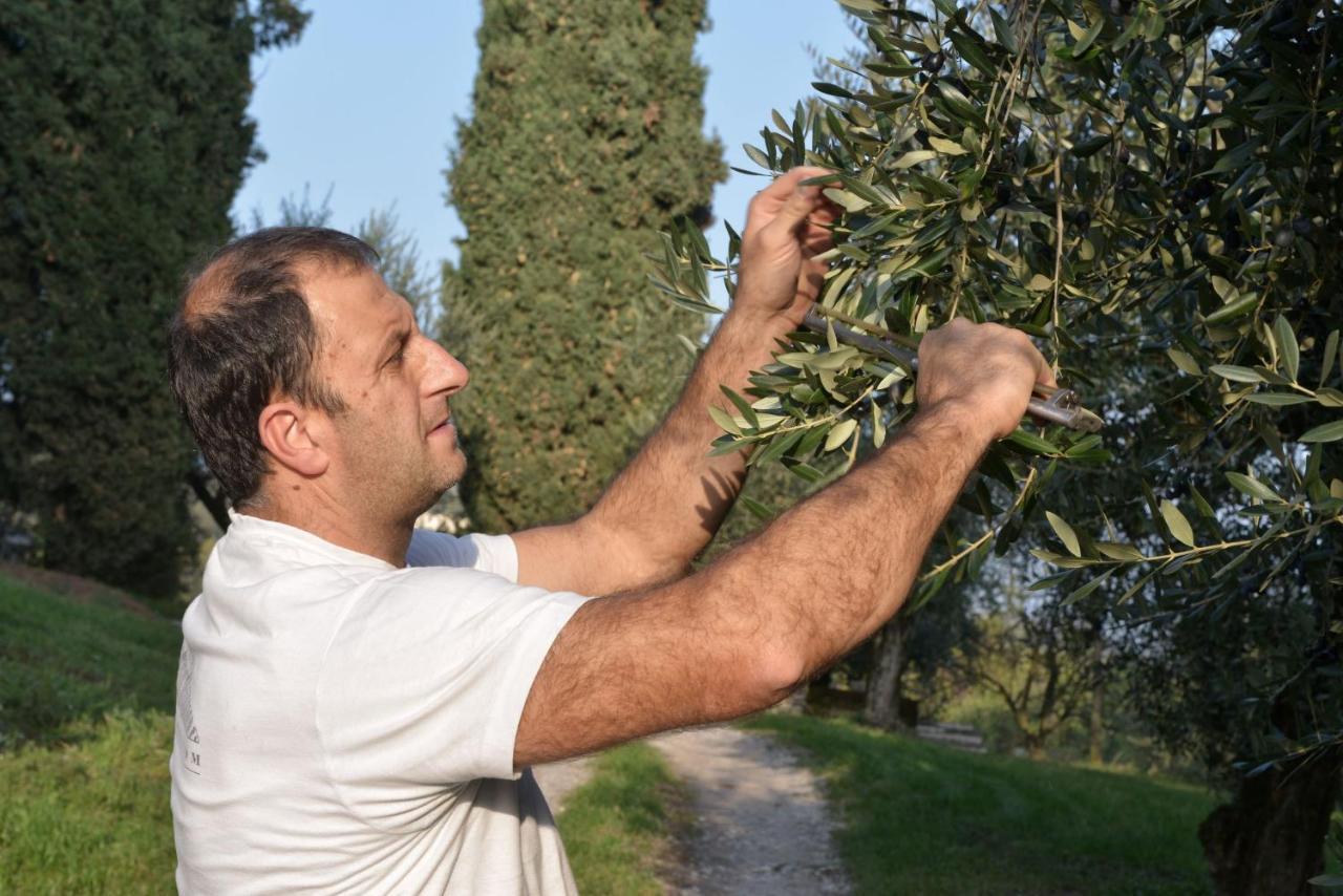 Agriturismo La Guarda Picedo 外观 照片