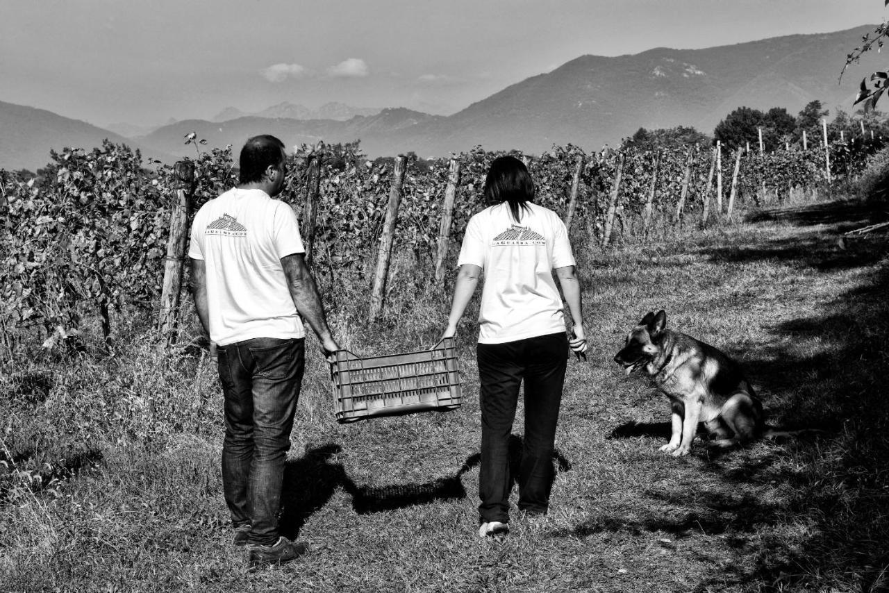 Agriturismo La Guarda Picedo 外观 照片