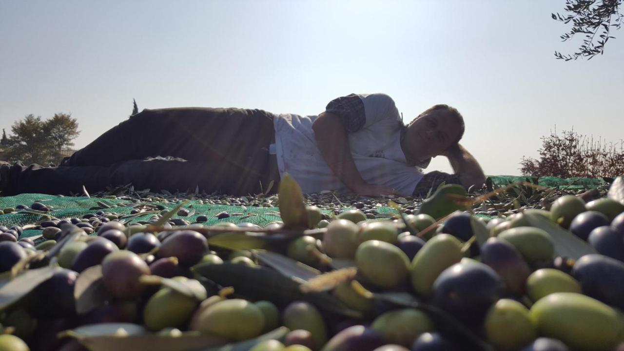 Agriturismo La Guarda Picedo 外观 照片