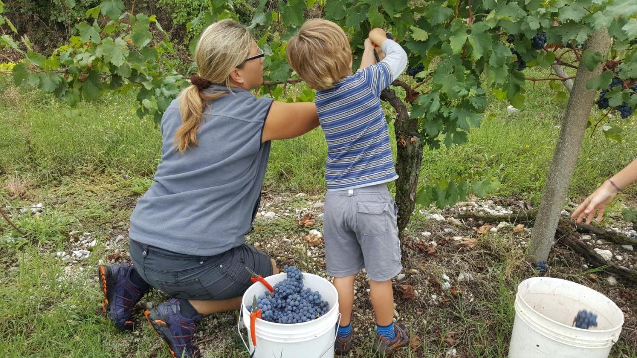 Agriturismo La Guarda Picedo 外观 照片