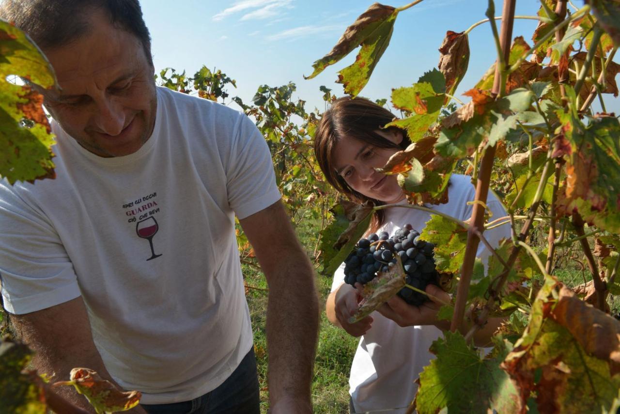 Agriturismo La Guarda Picedo 外观 照片