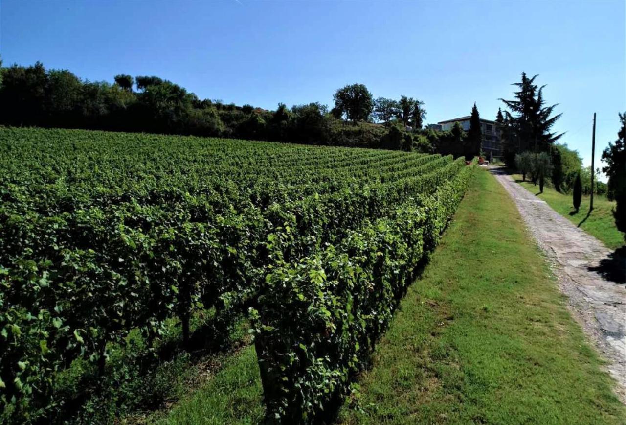 Agriturismo La Guarda Picedo 外观 照片